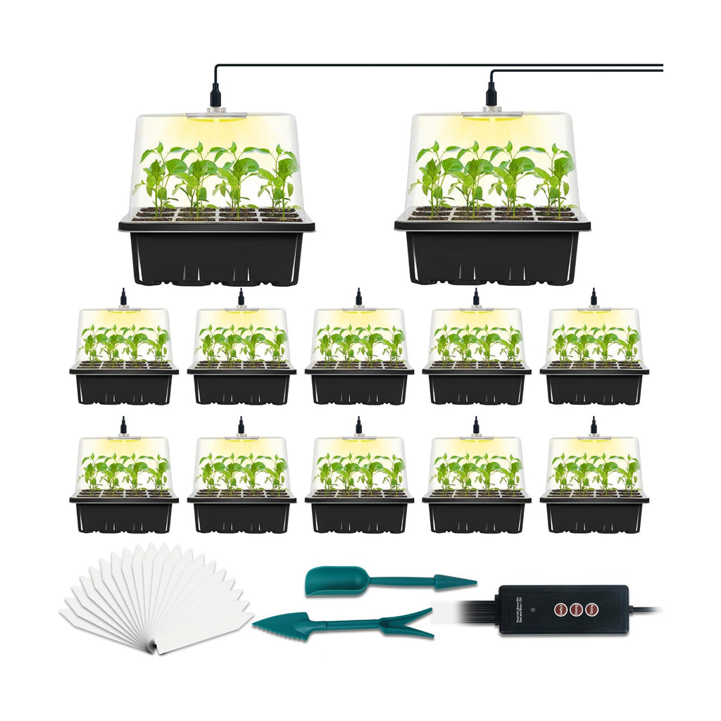 12-Set Seed Starter Tray with Grow Light, Seed Starting Trays Kits with Timing Controller Adjustable Humidity Domes