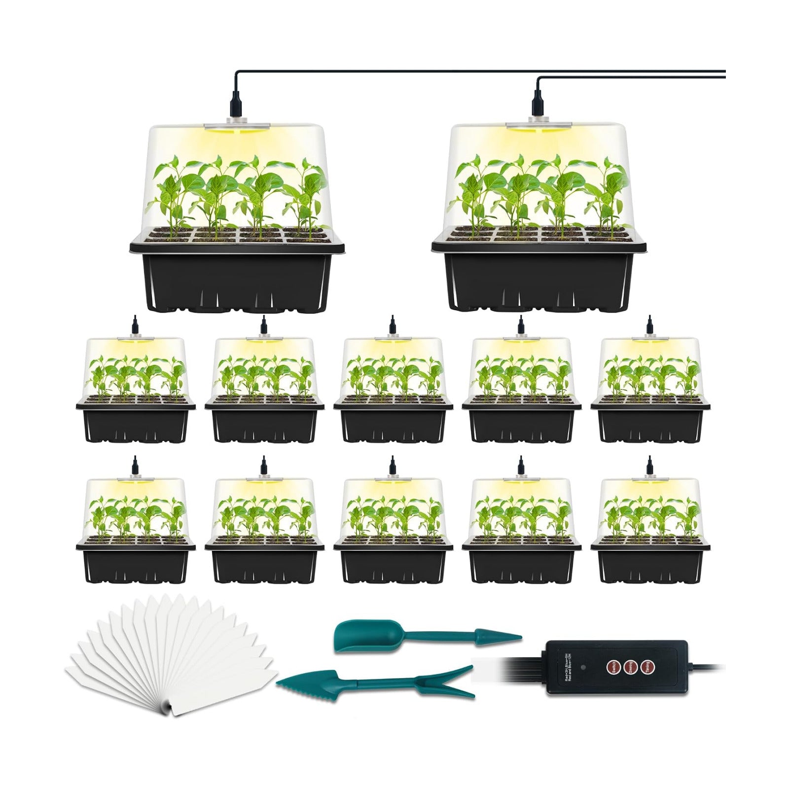 12-Set Seed Starter Tray with Grow Light, Seed Starting Trays Kits with Timing Controller Adjustable Humidity Domes