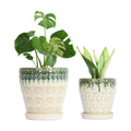 Ceramic Planter Pots for Indoor Plants, 8Inch + 6 Inch Plant Pot with Drainage Holes, Saucers and Mesh Pads, Succulent