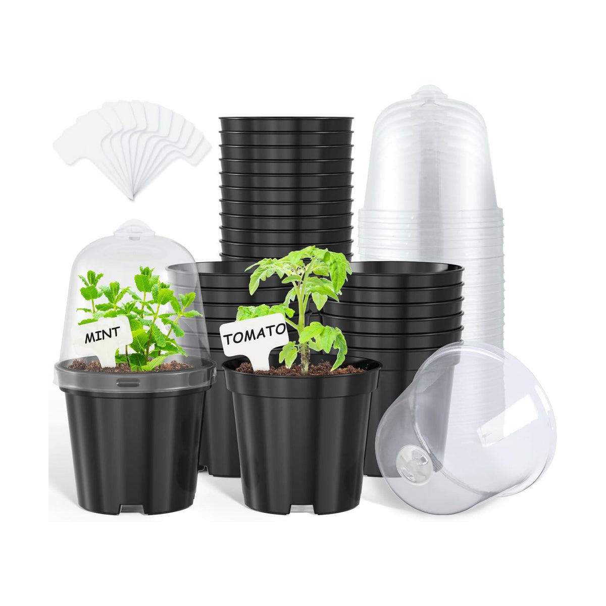 homenote 4 Inch Black Nursery Pots with Humidity Domes and Labels (30 Pcs)