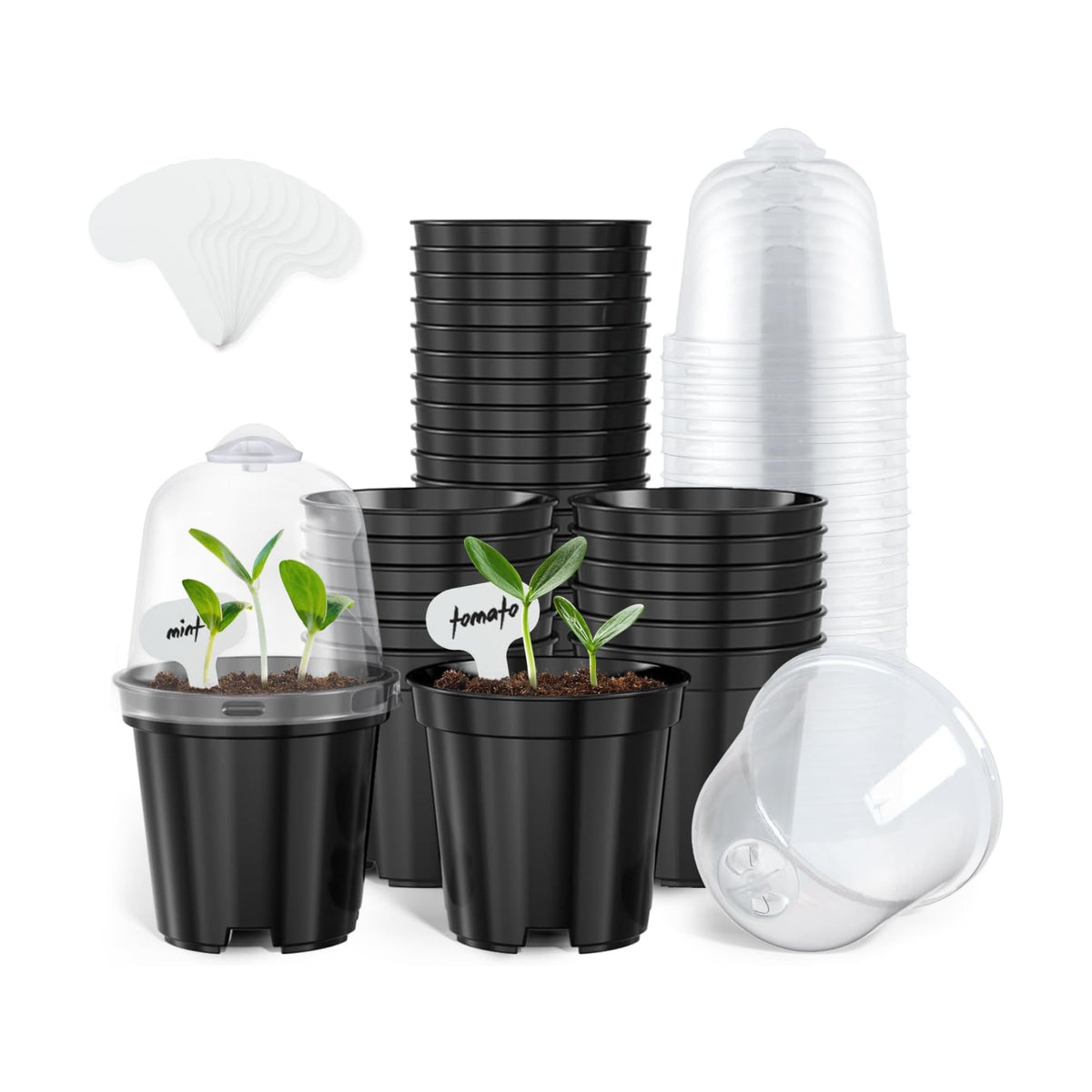 homenote 3 Inch Nursery Pots with Humidity Domes for Seed Starting (30 Pcs)