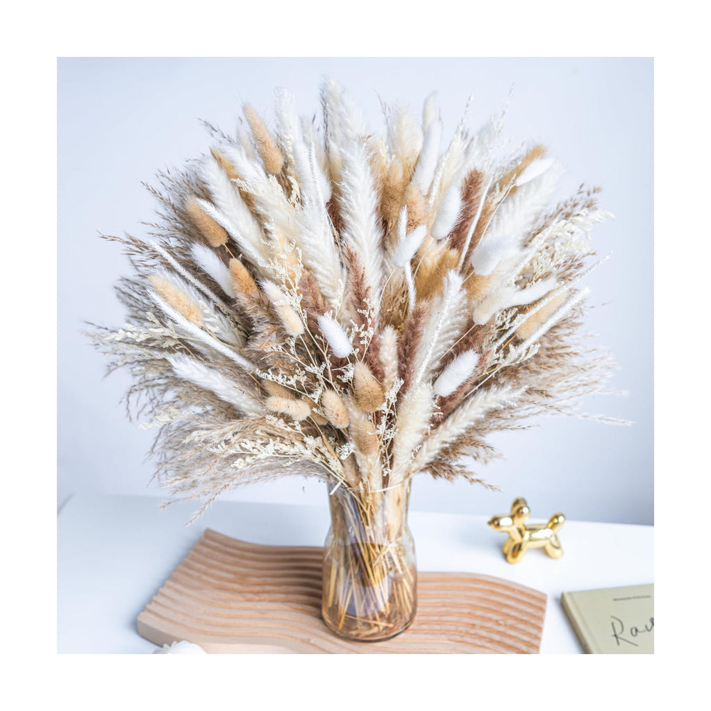220PCS Natural Dried Pampas Grass Boho Home Decor Bouquet Phragmites Dried Flowers Bouquet for Wedding Floral Arrangements Home Decorations (220PCS)