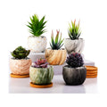 Marbling Ceramic Flower Pot 3.35 Inch Succulent Small Plant Cactus Herbs Planter Ceramic Pot with Drainage Hole Matte