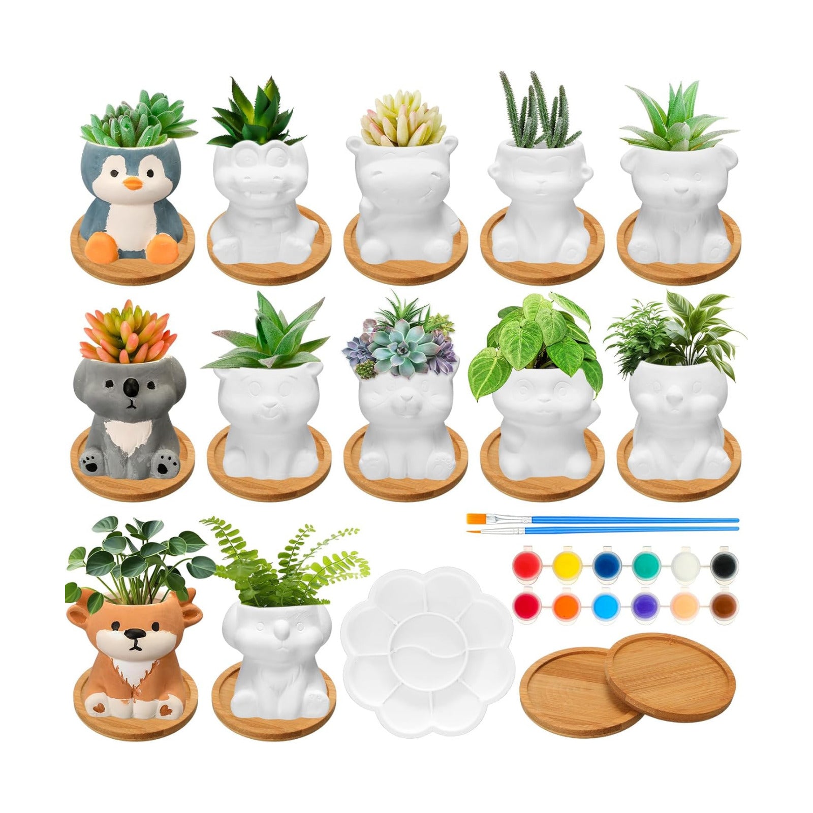 Hushee 12 Sets Ceramic Succulent Pots to Paint with Drainage | Paintable Succulent Plant Pots, 12 Styles, Small DIY
