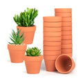 Baxrou Terra Cotta Pots, 24 Pack 3.15 Inch Mini Clay Pot with Drainage Holes,Cactus Flower Nursery Terracotta Pots for