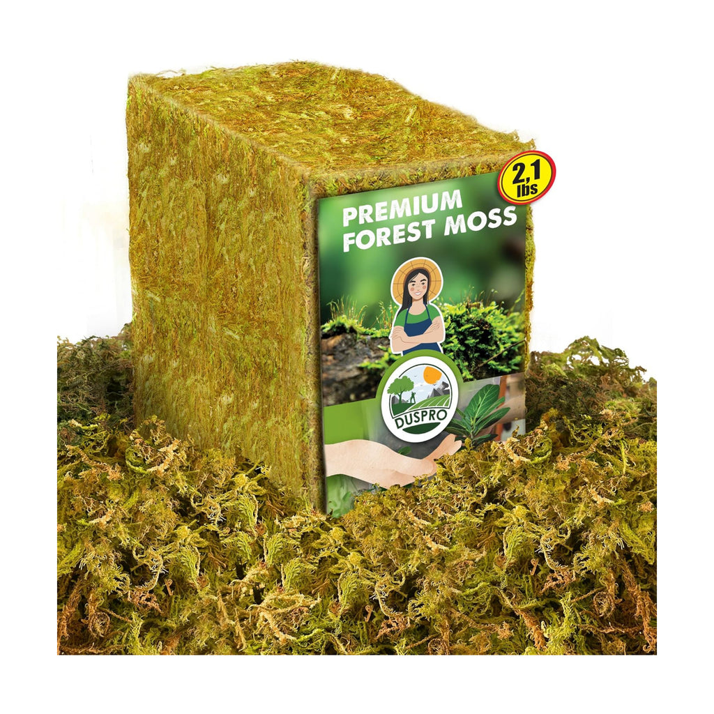 2.1 LBS Real Dried Forest Moss for Potted Plants, Plant Propagation | Hand-Picked & Clean, Easy to Rehydrate, Balanced