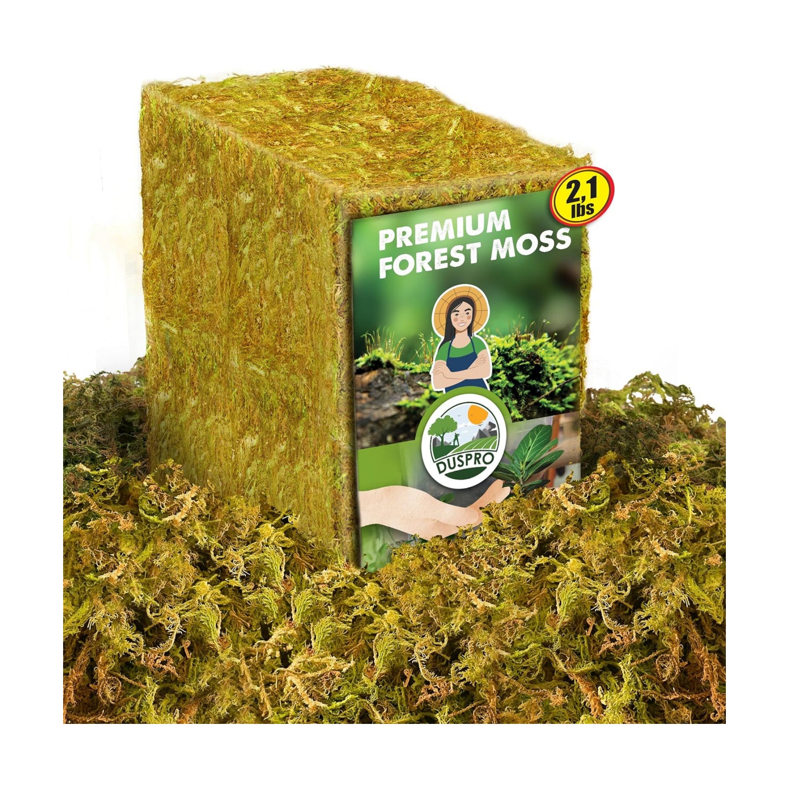 2.1 LBS Real Dried Forest Moss for Potted Plants, Plant Propagation | Hand-Picked & Clean, Easy to Rehydrate, Balanced