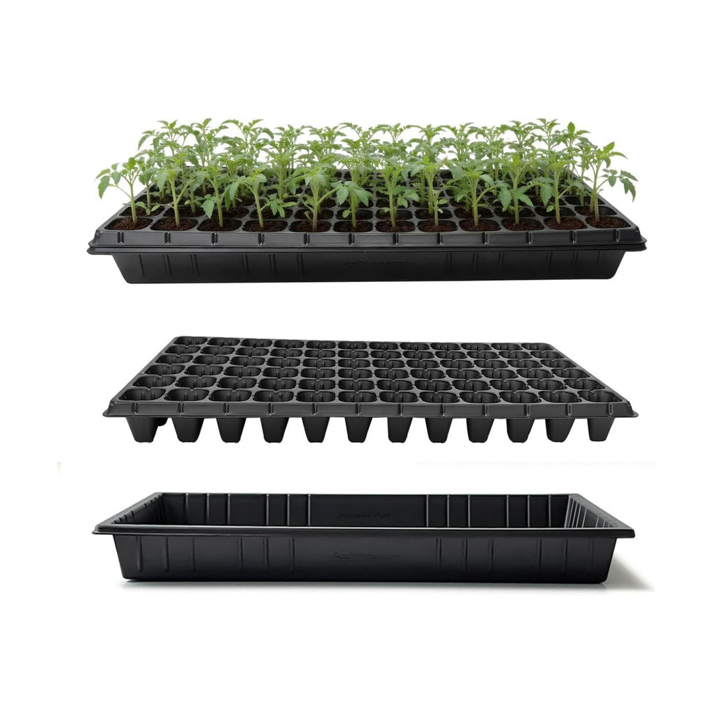 RooTrimmer 10 Pack 1020 Seed Starter Trays and 10 Pcs 72 Cell Plug Trays, Thick Durable Seedling Plastic Nursery Tray