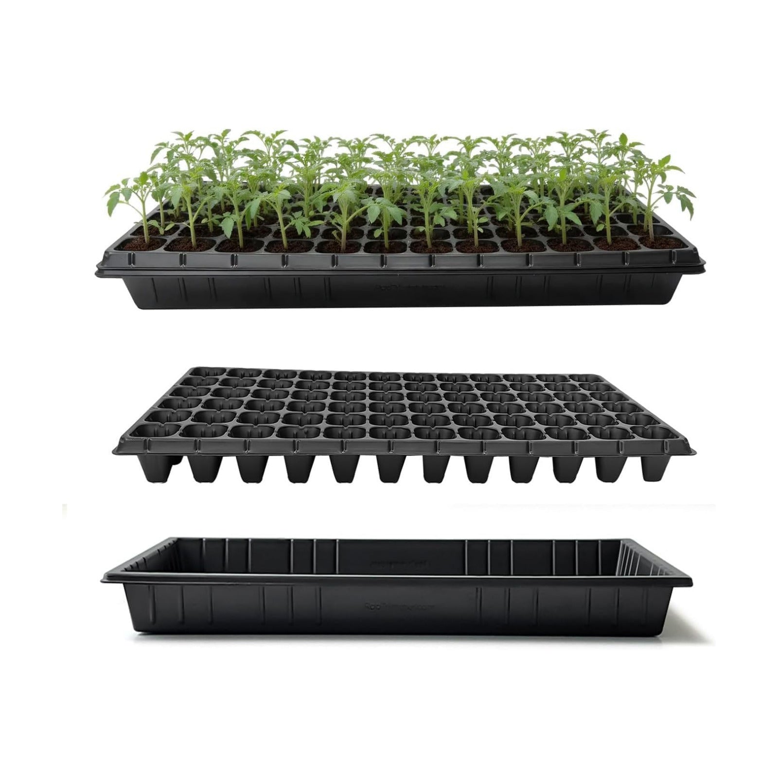 RooTrimmer 10 Pack 1020 Seed Starter Trays and 10 Pcs 72 Cell Plug Trays, Thick Durable Seedling Plastic Nursery Tray
