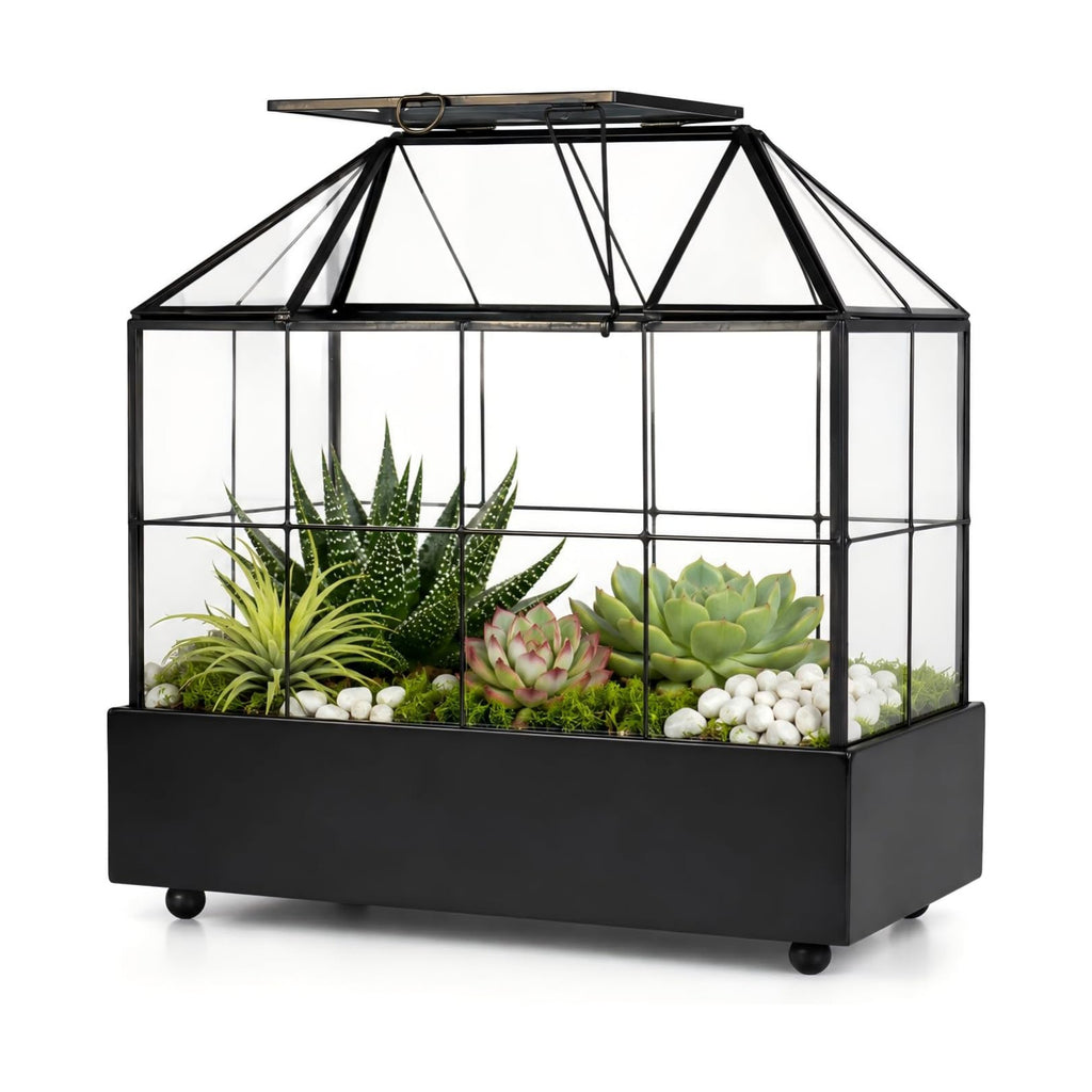Large Tall Plant Terrarium Glass – Glass Greenhouse Terrarium with Lid and Tray,Indoor Tabletop Orchid Succulent Cacti