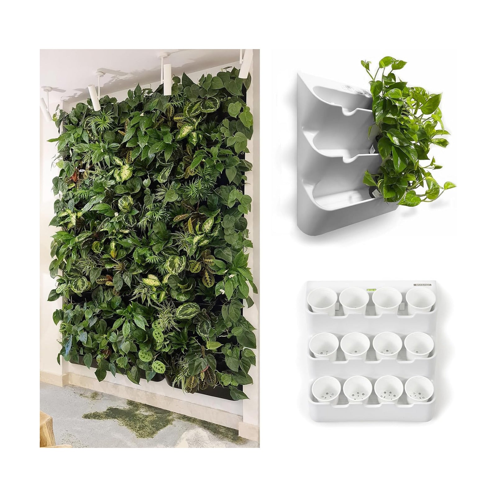 BOXSAND-12 Vertical Wall Planter for 12 Plants – Indoor/Outdoor Living Wall, Space-Saving Vertical Garden System, Easy