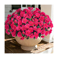 Ivydale Artificial Fake Camellia Flowers Plants for Outdoor Outside Spring Decoration, Faux Silk Hotpink Camellias UV Resistant Look Real for Planter Porch Patio Garden Yard, 3 Large Bundles