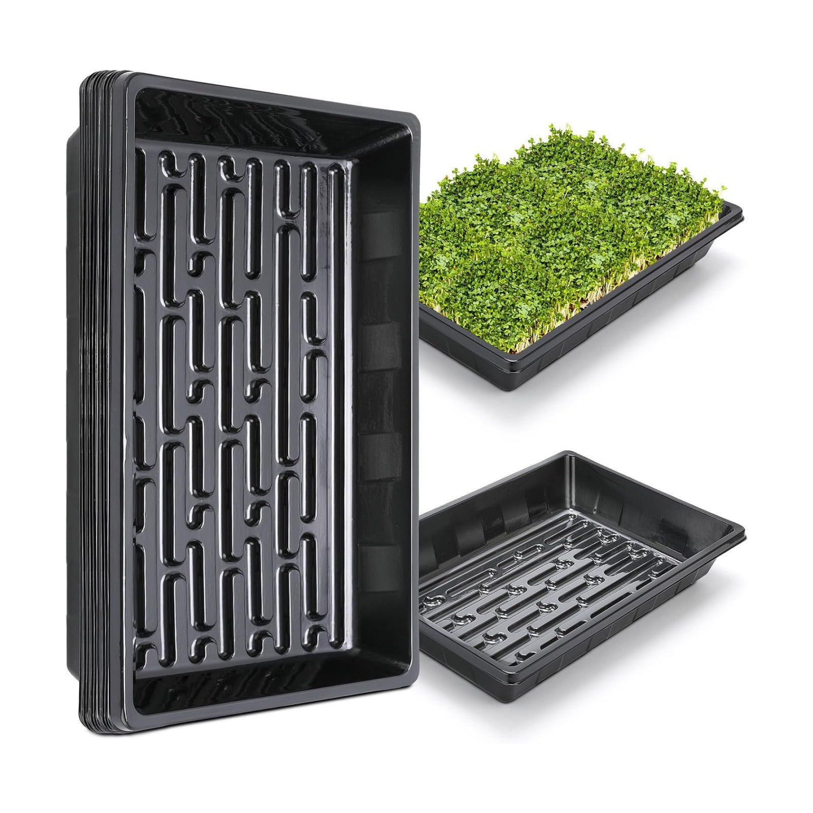Sckee Upgraded 10 Pack Plant Growing Trays Seed Starting Tray Microgreens Growing Trays Seedling Plant Germination