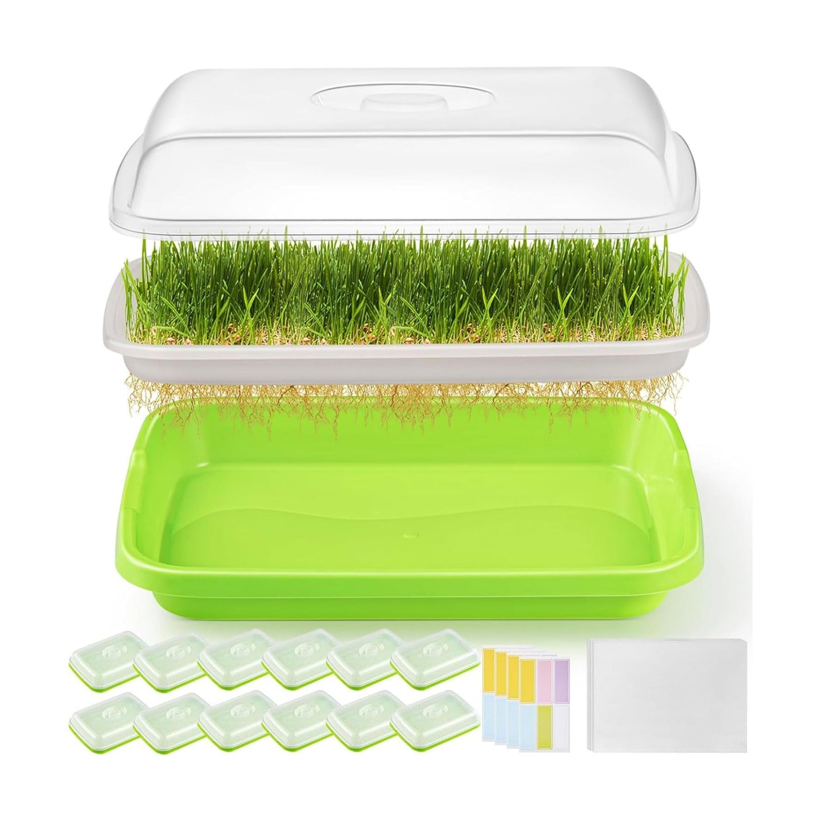 12 Pack Green Seed Sprouter Trays with Lid, Soil-Free Cultivation Germination Tray, Fodder Sprouting Trays Nursery Tray