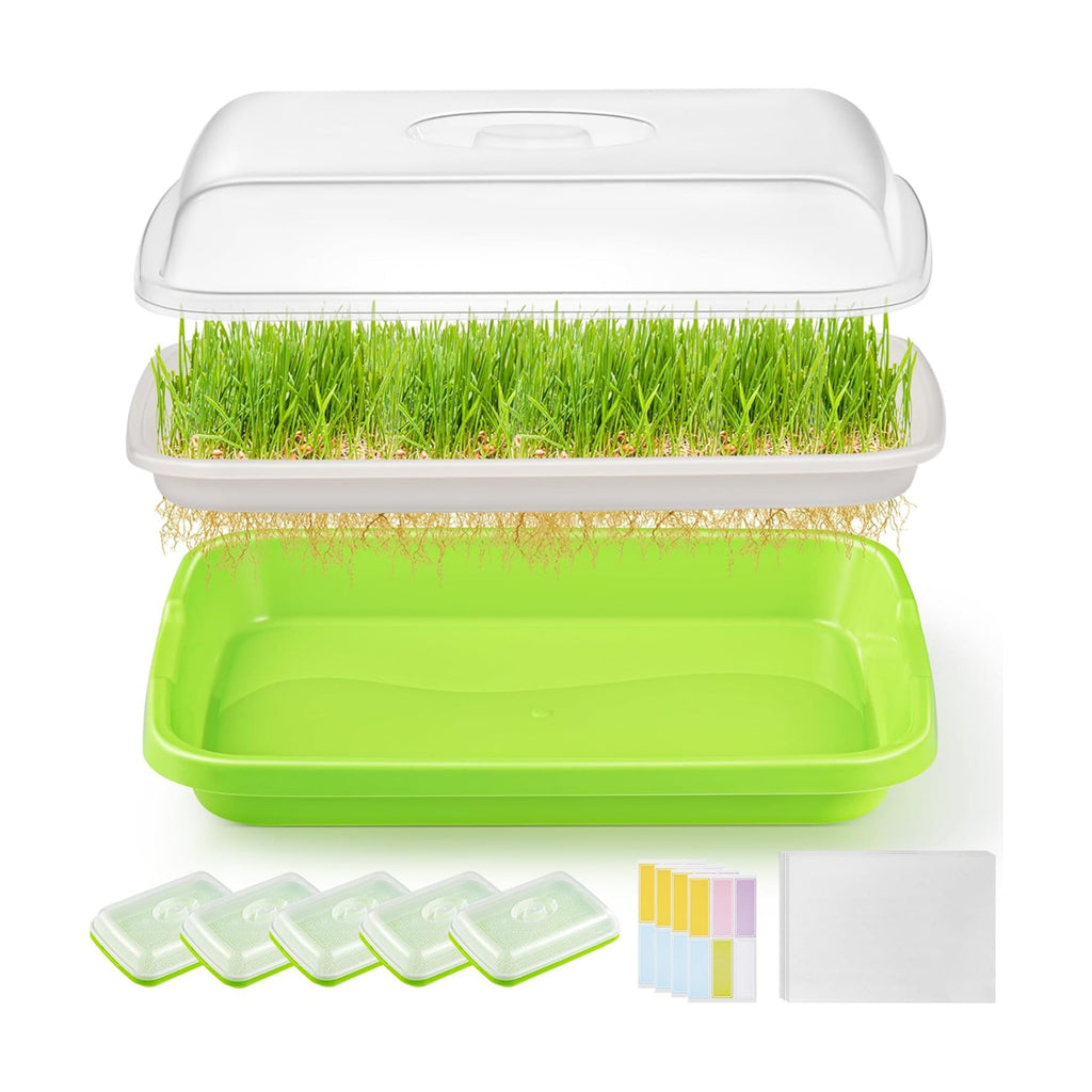 6 Pack Green Seed Sprouter Trays with Lid, Soil-Free Cultivation Germination Tray, Nursery Tray with Planting Paper for