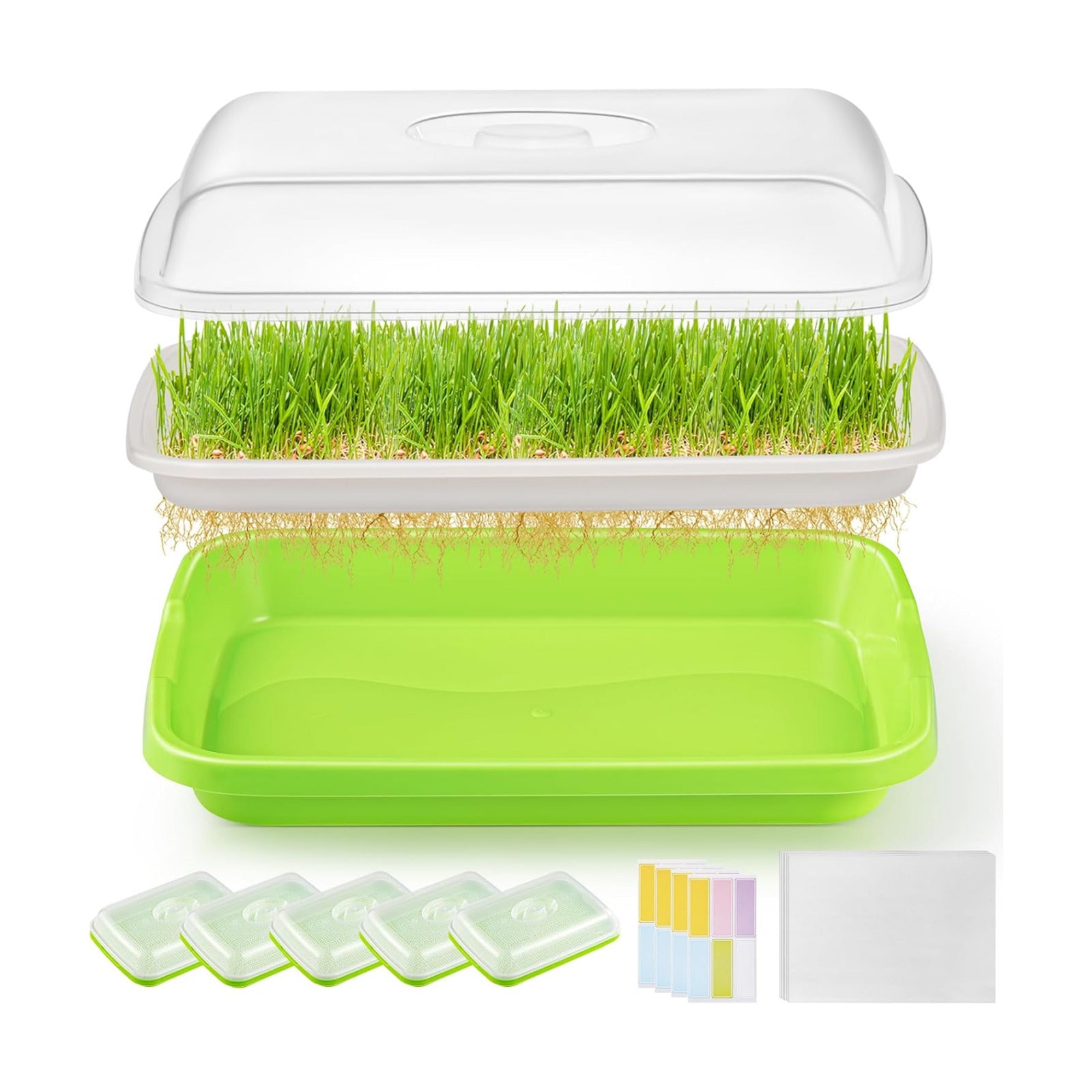 6 Pack Green Seed Sprouter Trays with Lid, Soil-Free Cultivation Germination Tray, Nursery Tray with Planting Paper for