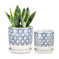 Ceramic Planter Pots for Indoor Outdoor, 5+6 inch Round Flower Pots with Drainage Hole and Tray, Blue and White Plant