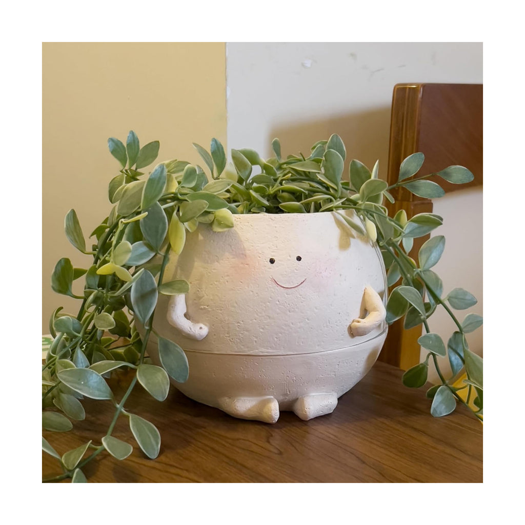 NINIPAPA Self Watering Plant Pot 4 Inch Cute Smile Face Planter Pot for Indoor Outdoor Plants with Drainage Hole Unique