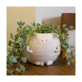 NINIPAPA Self Watering Plant Pot 4 Inch Cute Smile Face Planter Pot for Indoor Outdoor Plants with Drainage Hole Unique
