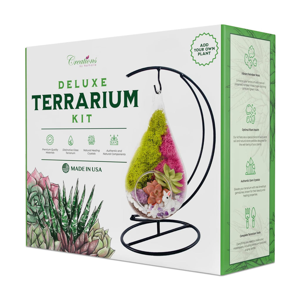 Creations by Nathalie 7" Teardrop Glass Terrarium Kit DIY Succulent Decor