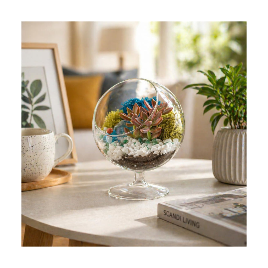 Creations by Nathalie DIY 6" Chalice Terrarium Kit Build Your Own Glass Terrarium for Adults & Teens with Live