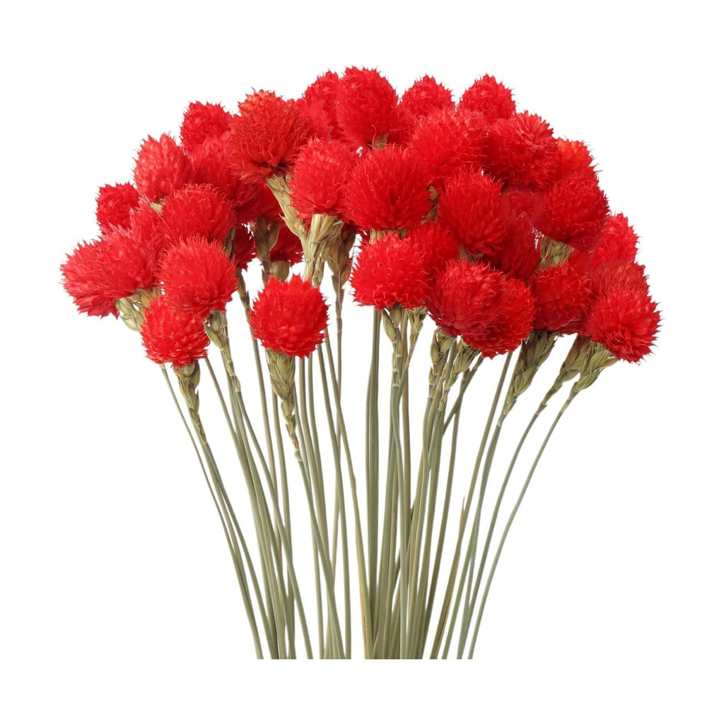 MIHUAGE Dried Globe Amaranth Flower with Wheat Straw 40PCS Bouquet for Vase Home Decor Party DIY Arrangement(Bright Red)