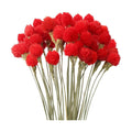 MIHUAGE Dried Globe Amaranth Flower with Wheat Straw 40PCS Bouquet for Vase Home Decor Party DIY Arrangement(Bright Red)