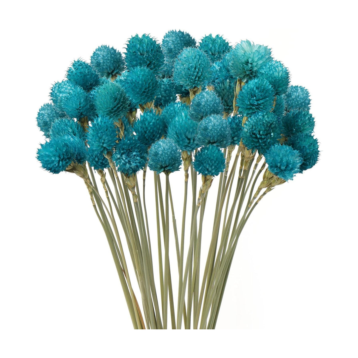 MIHUAGE Dried Flower Tiffany Blue Globe Amaranth with Wheat Straw Natural - 40PCS Bouquet for Vase Home Decor Party DIY Arrangement