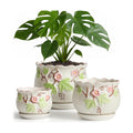 Ceramic Plant Pots with Drainage Holes and Saucers, Small Planters Set of 3 | Round Hand-painted Green Flower Pots for