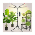 Grow Light with Stand and Timer 4,8,12,16,20 Hr, 36 Watt Standing Tall Plant Light for Bonsai Tree, Seed Starting