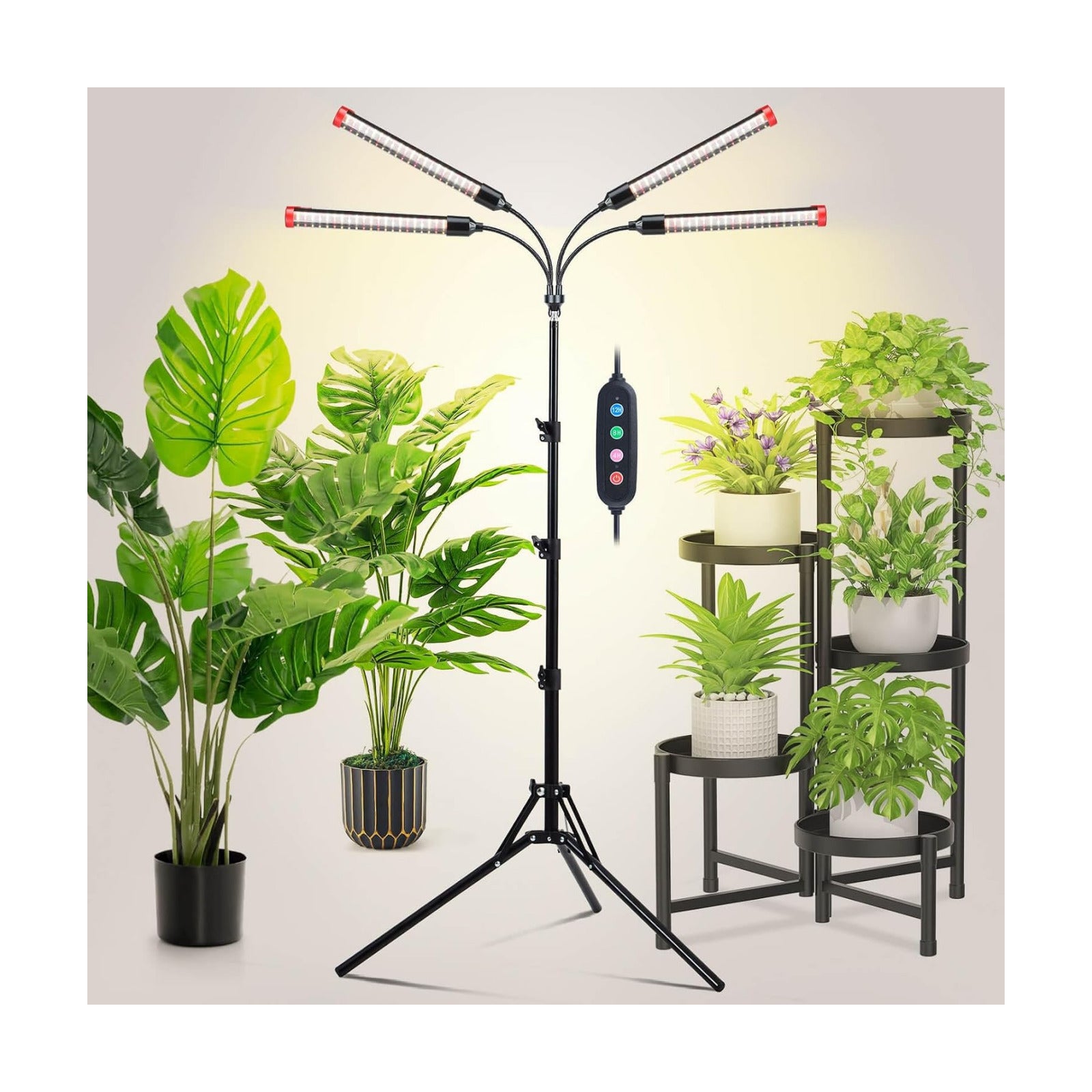 Grow Light with Stand and Timer 4,8,12,16,20 Hr, 36 Watt Standing Tall Plant Light for Bonsai Tree, Seed Starting