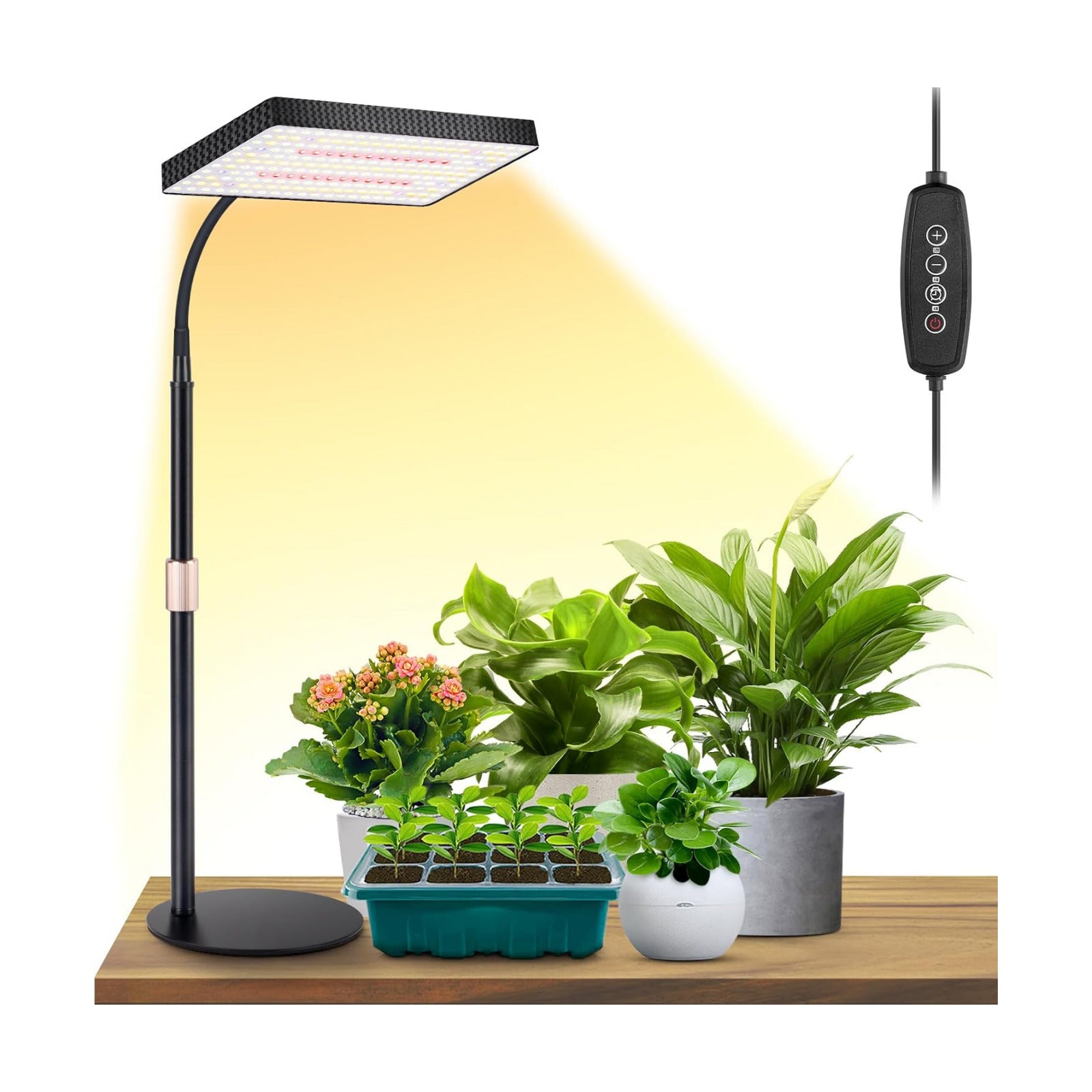 LBW Desk Grow Light, 214 LEDs Full Spectrum Plant Light for Indoor Plants | Desktop Grow Lamp with 4/8/12H Timer