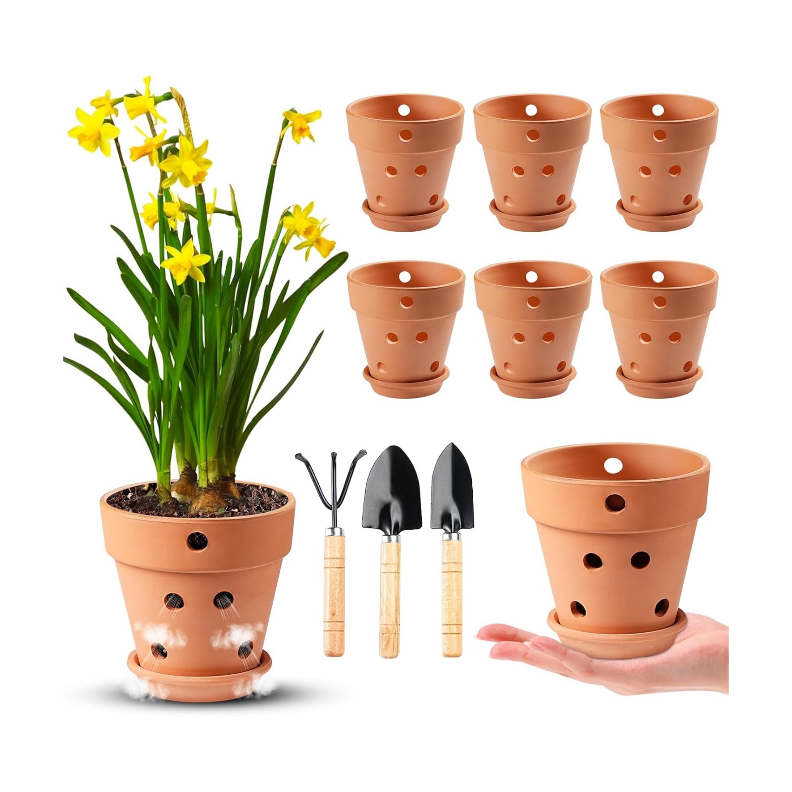 4 Inch Terracotta Orchid Pots with Holes and Saucers Set of 6 | Small Terra Cotta Clay Orchid Planter Pots for Plant