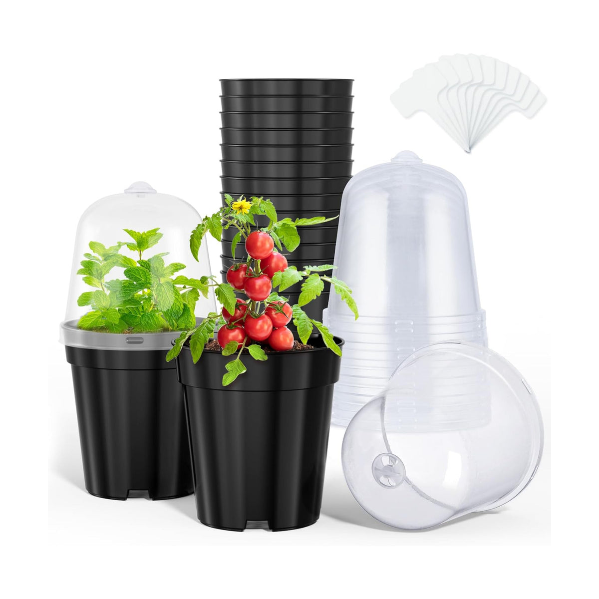 homenote 5 Inch Nursery Pots with Humidity Domes for Seed Starting (15 Pcs)