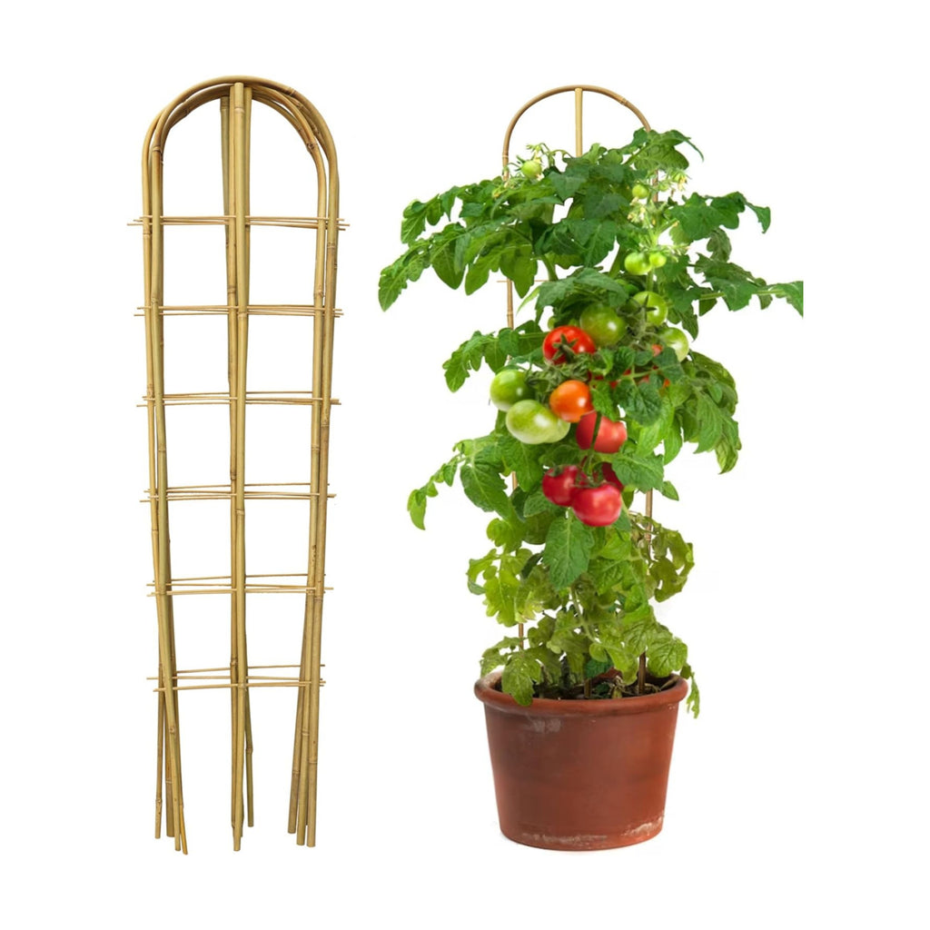5 Pack 4 Feet U-Shape Bamboo Trellis, Natural Bamboo Trellis for Climbing Plants, Vegetables, Cucumber, Tomato, Outdoor