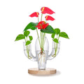 Plant Propagation Stations, Unique Cactus-Shaped Plant Propagating Vase, 3 Independent Areas for Various Plants