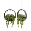 2pcs Artificial Succulents Hanging Plants 12.2'' Fake String of Pearls in Pot with 8.3'' Lanyard for Indoor Outdoor
