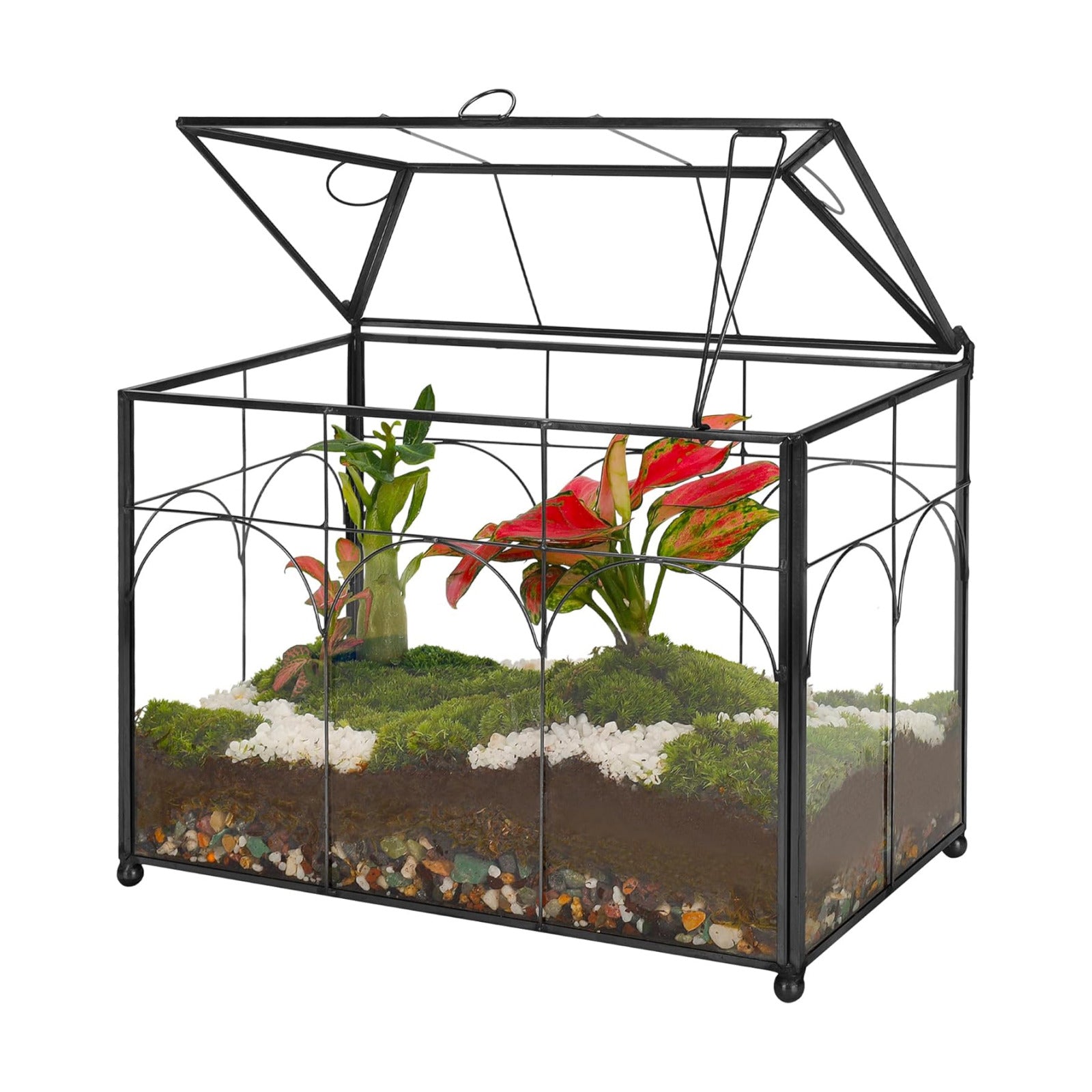 REDHUGO Glass Planter Terrarium with Lid, Indoor Display Box, Black | Handmade Glass Terrarium with Lid for Succulents