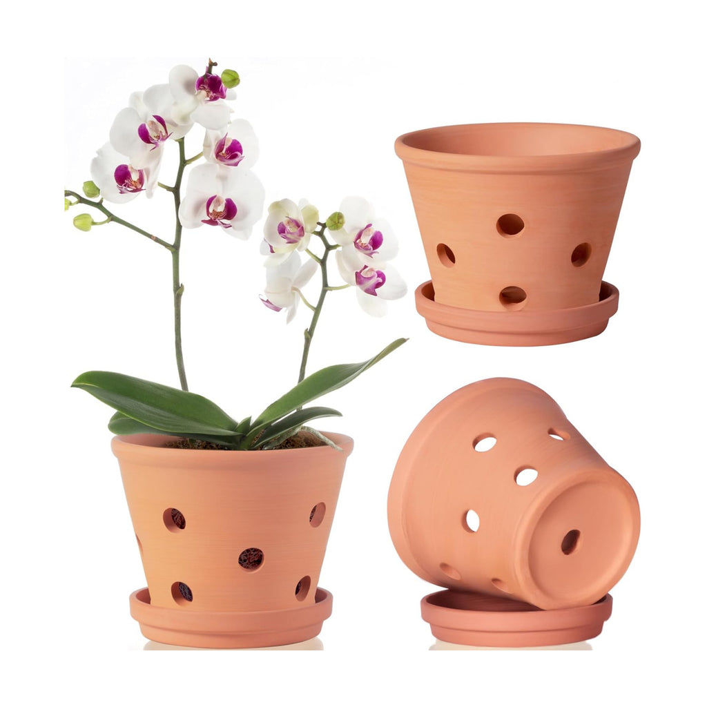 6 Inch Terracotta Orchid Pots with Holes, Saucers - 3 Pack Clay Orchid Planter Pots for Repotting, Small Terra Cotta