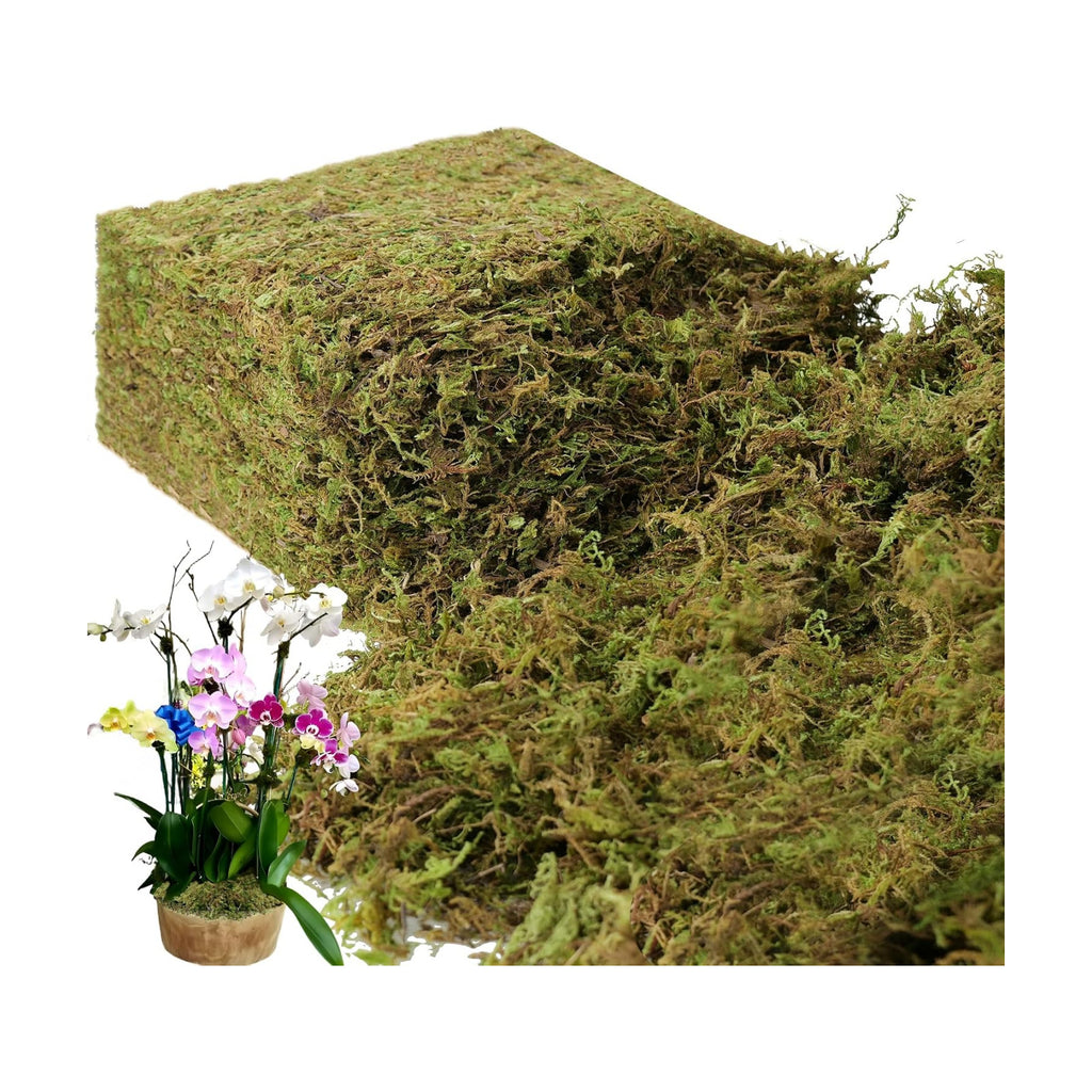 2.2LB Large Capacity Fake Moss for Plants Indoor, 35 OZ Fresh Green Moss for Potted Plants Craft Moss for Home & Office