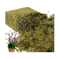 2.2LB Large Capacity Fake Moss for Plants Indoor, 35 OZ Fresh Green Moss for Potted Plants Craft Moss for Home & Office