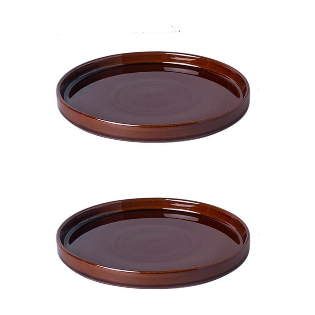 Ceramic Plant Saucer 5 Inch, 2 Pack Round Plant Saucers for Indoors/Outdoors, Flower Pot Saucers for Holding Water