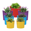 LITLANDSTAR 7 Pack Multicolor Grow Bags, Thickened Nonwoven Plant Fabric Pots with 4 Colors and 4 Sizes - 5/7/10/15