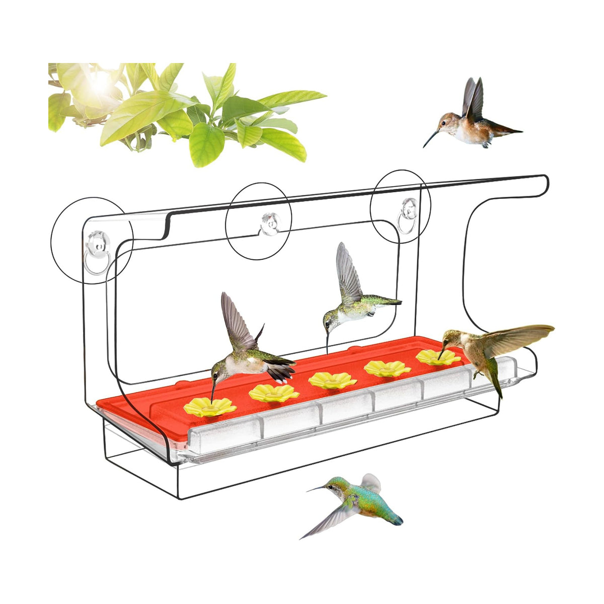 LUJII All One Piece Window Hummingbird Feeder with 5 Strongest Suction Cups, 20 fl.oz Hummer Feeder for Outside, Removable Lift-up Nectar Tray with 5 Feeding Ports, Gift for Bird Lover (Clear)