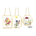 FOCHIER F 3 Pcs Pressed Flower Frames with Tweezers, Wall Hanging Double Glass Frames with Metal Chain for Pressed Dried Flowers Plants, Golden