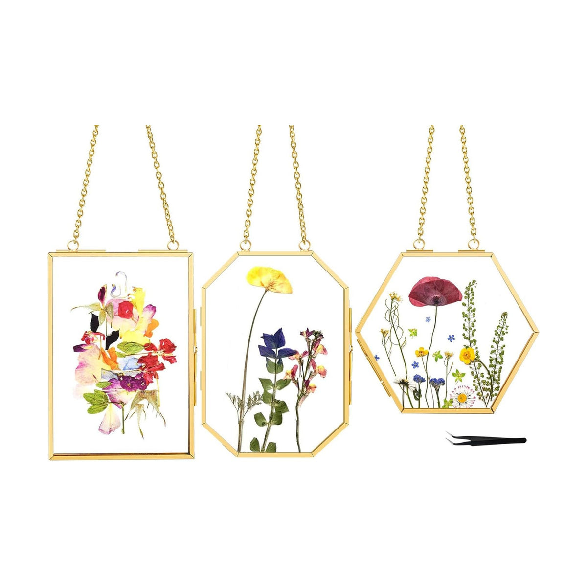 FOCHIER F 3 Pcs Pressed Flower Frames with Tweezers, Wall Hanging Double Glass Frames with Metal Chain for Pressed Dried Flowers Plants, Golden