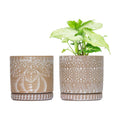 6 Inch Indoor Plant Pots with Drainage Holes and Saucers, Ceramic Planter for Plants, Flower Pot - Set of 2