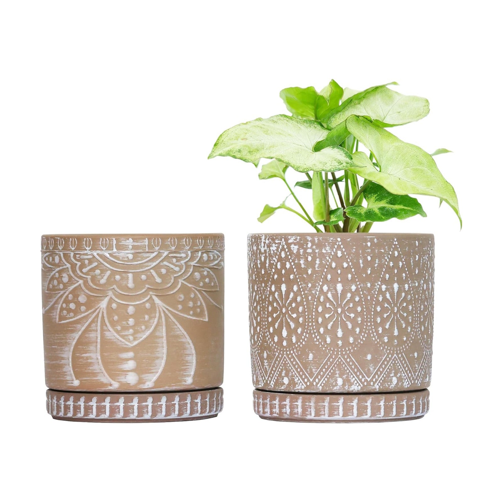 6 Inch Indoor Plant Pots with Drainage Holes and Saucers, Ceramic Planter for Plants, Flower Pot - Set of 2