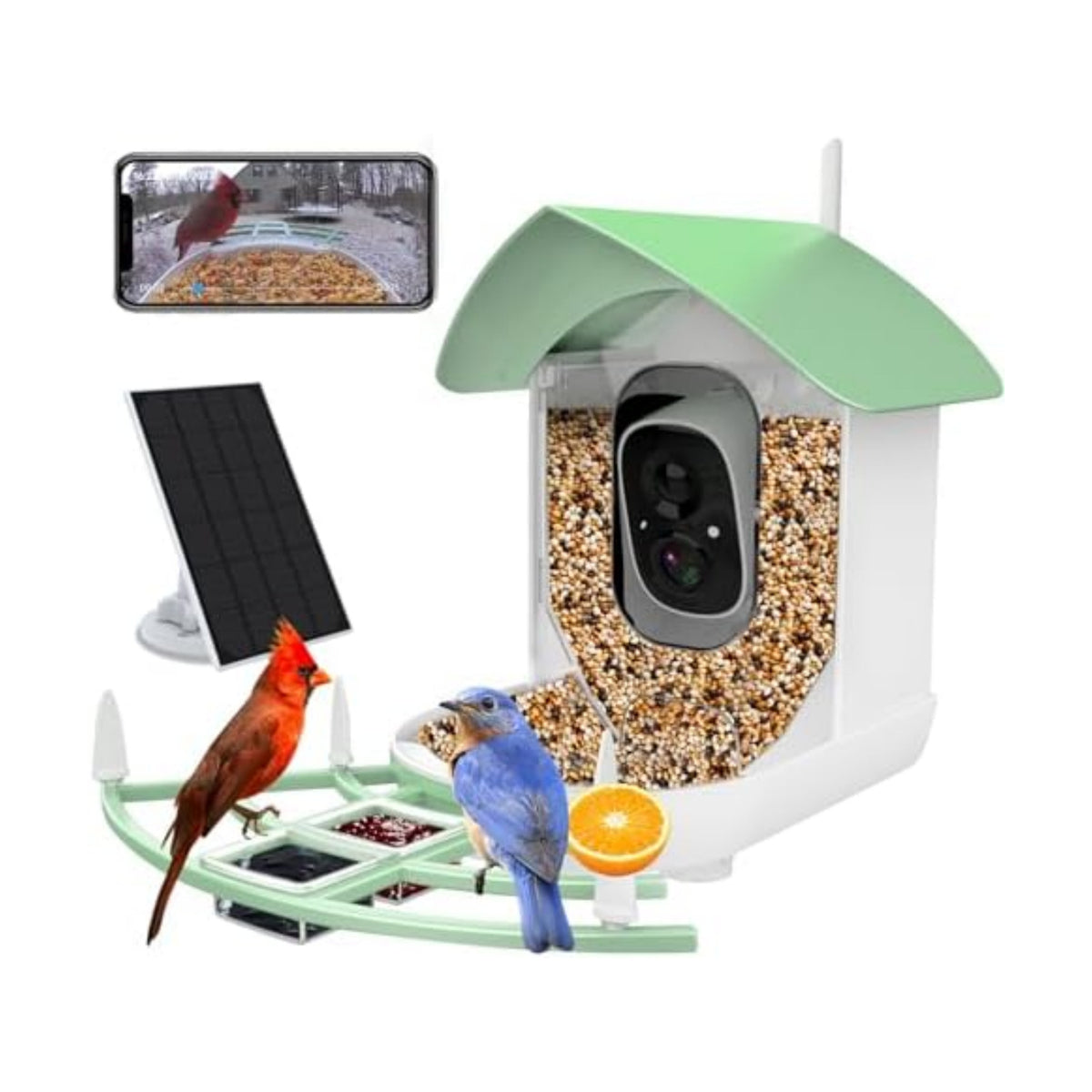 Bird Feeder with Camera, AI Identify Birds Species, FHD 2K Video Quality Bird Watching, Wireless Outdoor Weatherproof Birds House, Solar-Powered, for Garden, Yard,Patio, Green