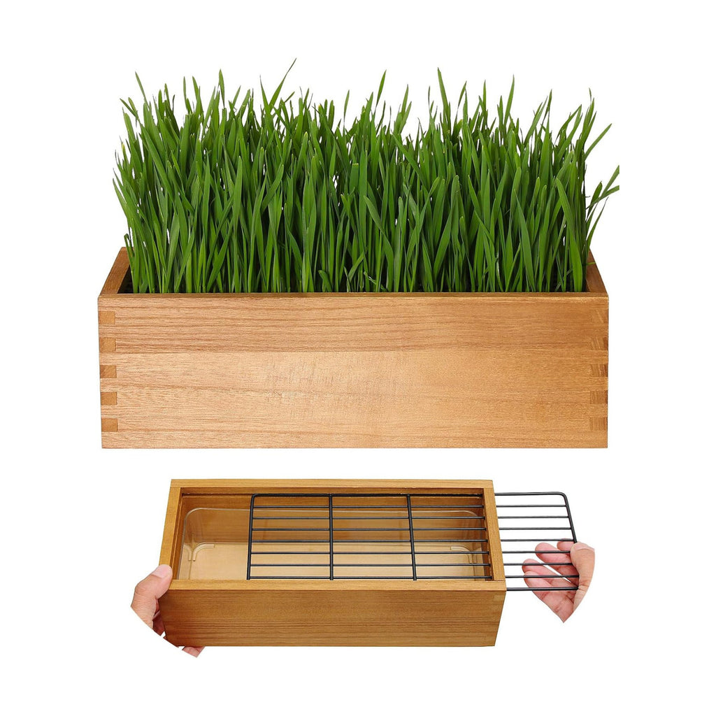 Wooden Cat Grass Planter (no Seeds Included) Anti Digging Design | with Potting Soil Disks, Anti-Digging Grid and